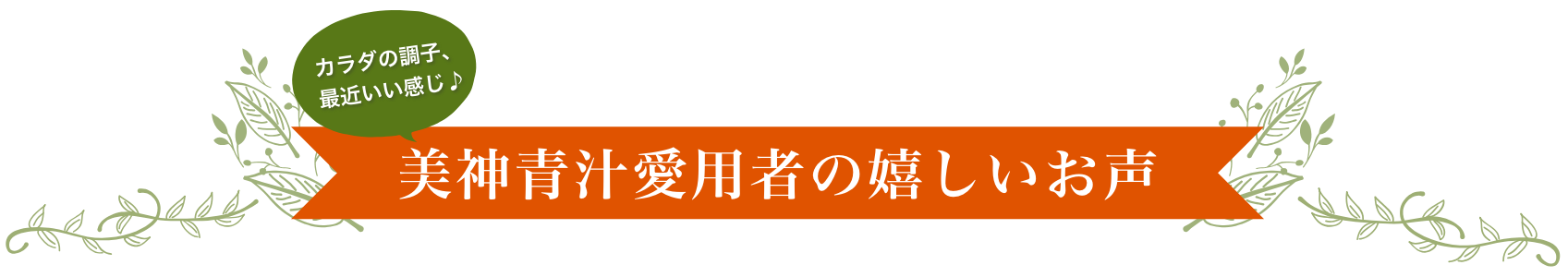 美神⻘汁愛用者の嬉しいお声