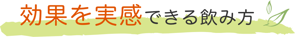 効果を実感できる飲み方